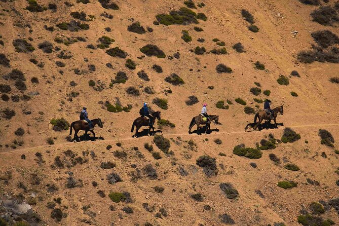 Ride in the semi-private Andes with roast - Guides Who Keep the Day Smooth, Plus Local Context
