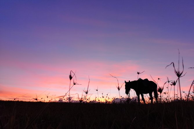 Ride to the highest point on the island for sunset - The real point of this ride: getting to Terevaka by horse
