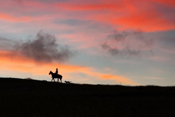 Ride to the highest point on the island for sunset - The climb to Maunga Terevaka: meadows, changing light, and breathing room