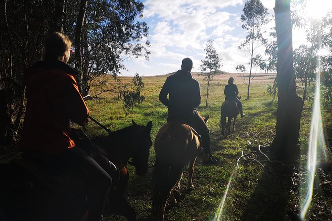 Ride to the highest point on the island for sunset - At the top: grazing horses and that open-air pause