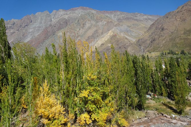 Rio de Emociones: Cajón del Maipo & Las Melosas - An 8-Hour Andes Day With Real Variety