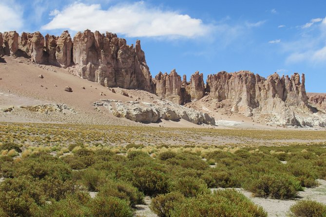 Route of the Andean salt flats - Key Highlights You’ll Care About