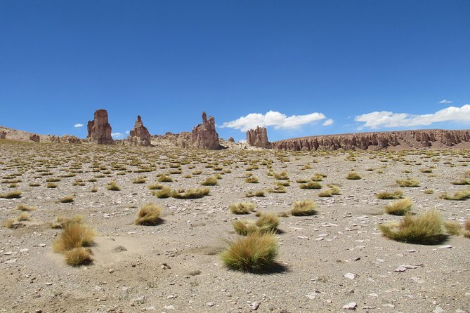 Route of the Andean salt flats - Pecan Monks Stop: A Culture and Sight Break on the Way Up