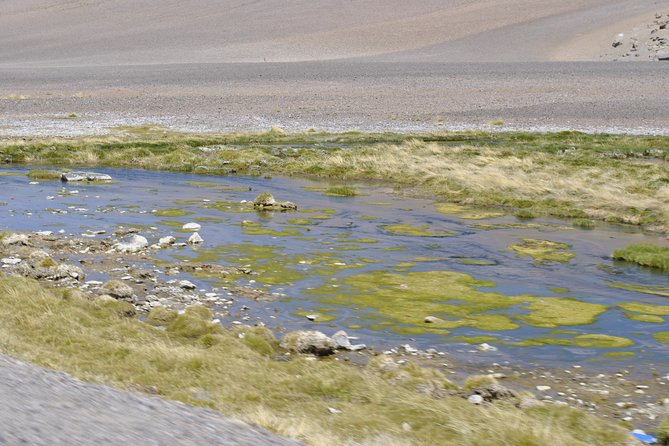 Route of the Andean salt flats - Salt Flats Segment: What You’ll Be Chasing Beyond the Photos