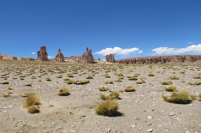 Route of the Andean salt flats - The Guide Factor: When Explanations Actually Help