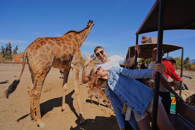 Safari Park - Quick hits before you go