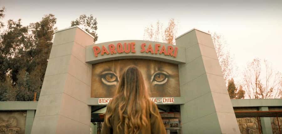 SAFARI PARK-TOUR RANCAGUA : CHILE - Quick reasons this Rancagua safari works