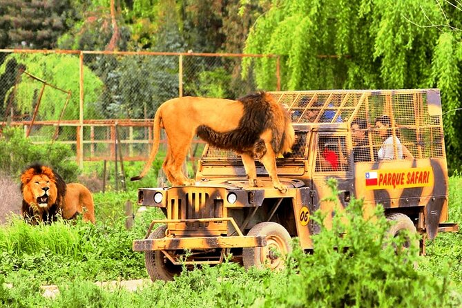 Safari Park, Wild Experience - The Jurassic Safari: Dinosaurs With Animatronics