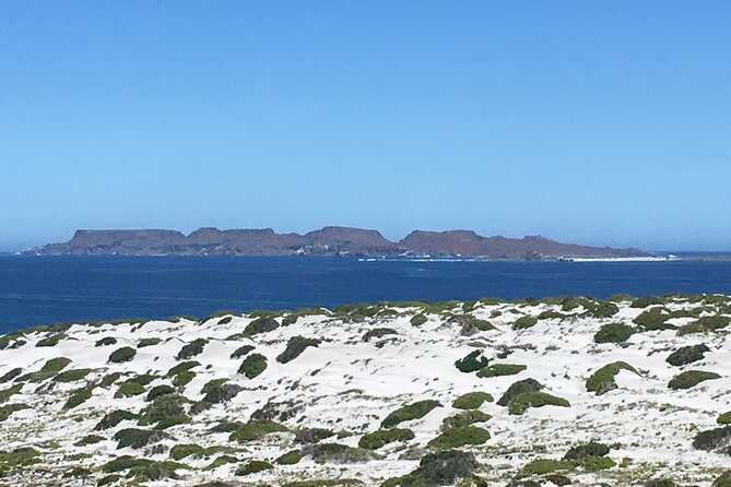 Sailing and Hiking Isla Damas : Humboldt Penguin Reserve - Key highlights that make this day trip worth planning