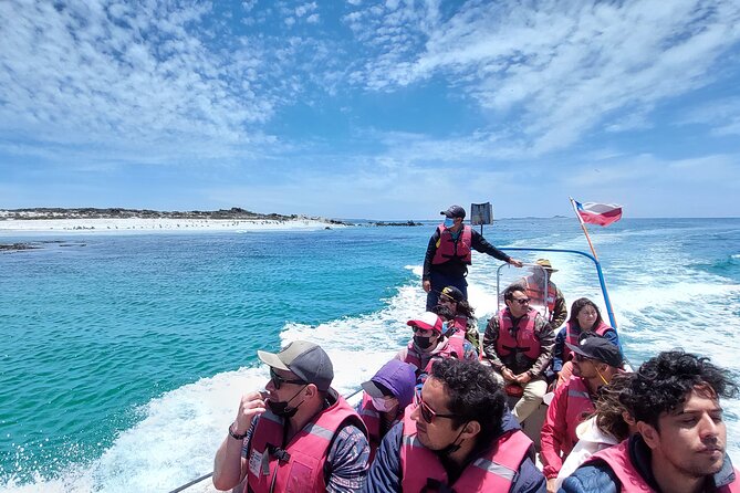 Sailing and Hiking Isla Damas : Humboldt Penguin Reserve - Timing, pickup, and why 10 hours can feel like two trips