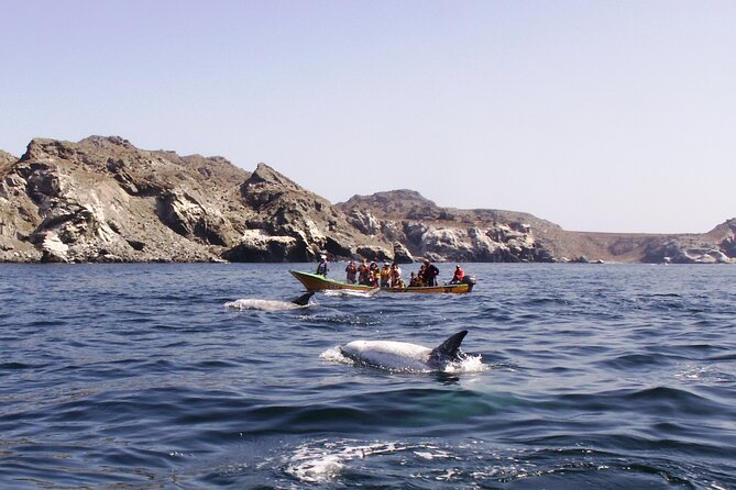Sailing and Hiking Isla Damas : Humboldt Penguin Reserve - Punta Choros: the fishing village launch point for the Humboldt Reserve