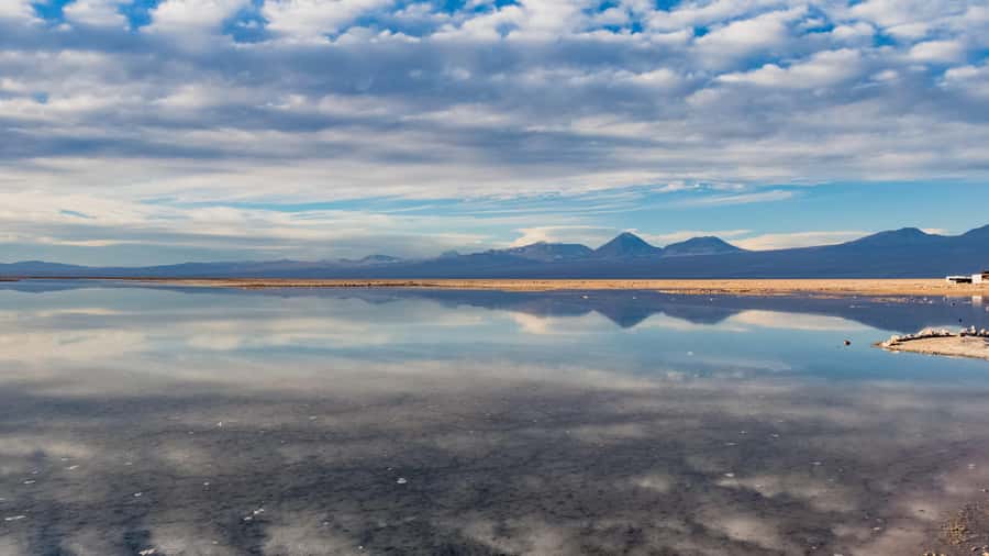 Salar de Atacama and altiplanic lagoons - Key highlights you will actually care about