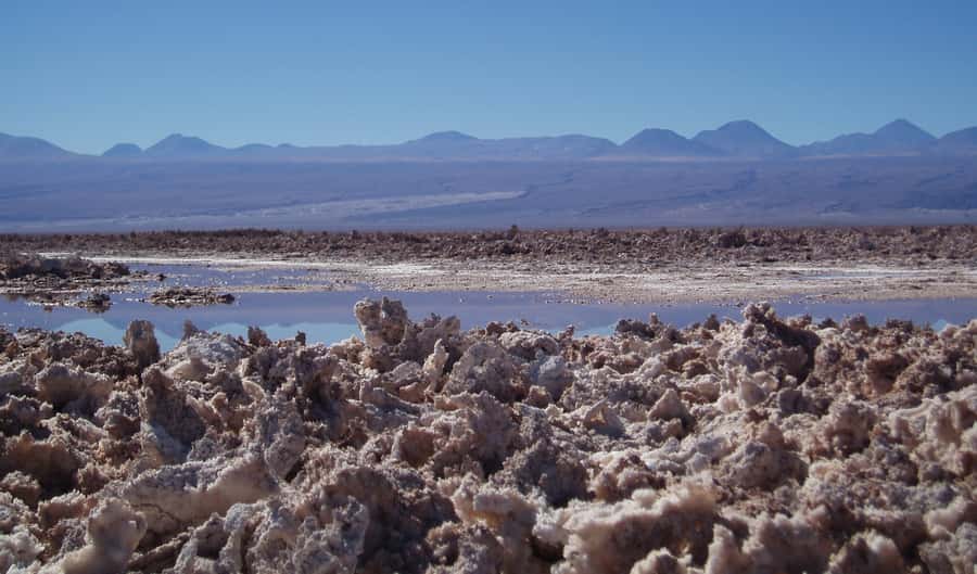 Salar de Atacama and altiplanic lagoons - Why this Salar de Atacama and lagoons tour works so well