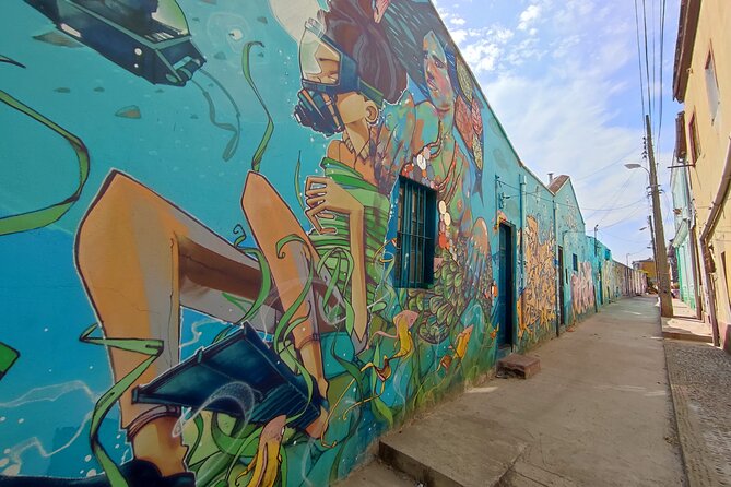 San Antonio to Valparaiso Private Tour with Santiago Drop Off - Viña del Mar stops you can handle in short windows