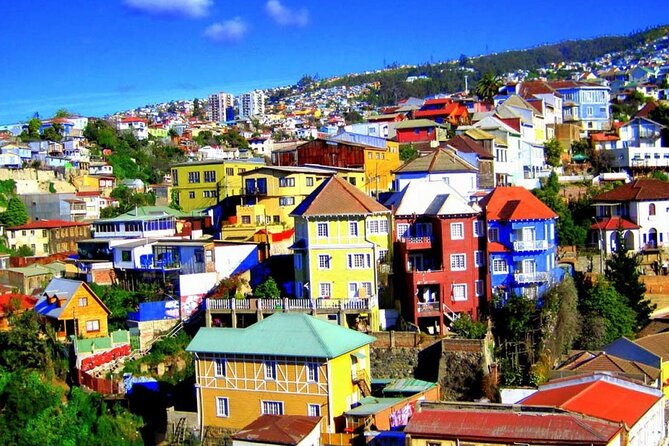San Antonio to Valparaiso Private Tour with Santiago Drop Off - Reñaca Beach and Sea Lion Rock: the wildlife stop that breaks up the city pace