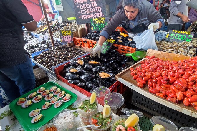 San Antonio to Valparaiso Private Tour with Santiago Drop Off - Panoramic Viña del Mar drives: Casino views plus Wulff and Ross castles