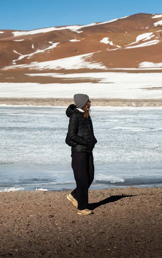 San Pedro de Atacama: Atacama Desert and Salt Flats Day Trip - Aguas Calientes and Quisquiro salt flats, plus wildlife and lunch