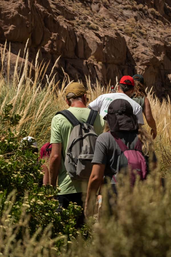 San Pedro de Atacama: Canyon Swimming Pools Trekking Trip - The 40-Minute Trek: How You Walk, Where You Pause, What to Expect