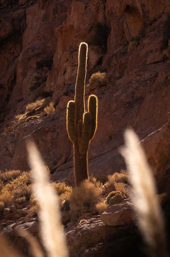 San Pedro de Atacama: Canyon Swimming Pools Trekking Trip - What to Pack: Shoes, Swimwear, and the Altitude Survival Stuff