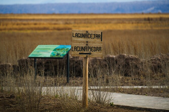 San Pedro de Atacama Cejar Lagoon - Stop 2: Laguna Tebenquinche Walk Plus Picnic, and the Views You Catch En Route