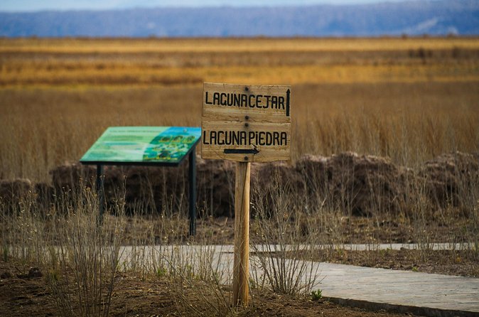 San Pedro de Atacama Cejar Lagoon - Stop 3: Laguna de Piedras Swim and Leisure Time