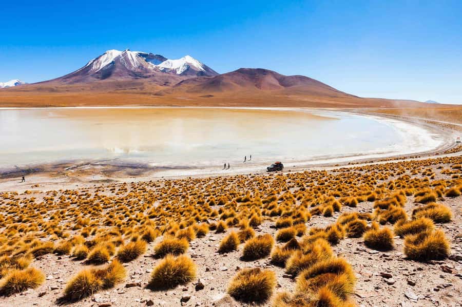 San Pedro de Atacama Day Trip: Atacama Desert and Salt Flats - Key Highlights You Should Know Before You Go