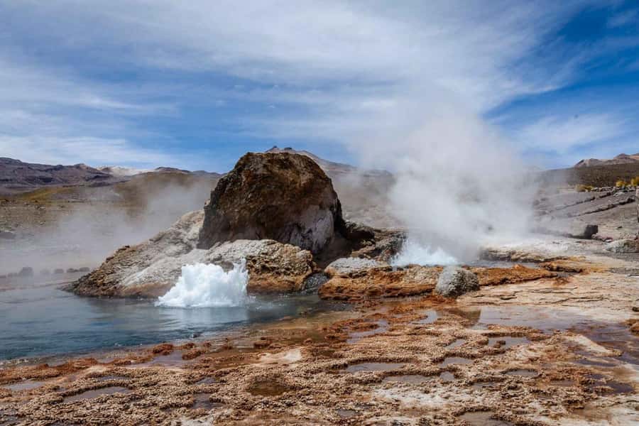San Pedro de Atacama: El Tatio Geyser Field and Wetlands - Key things I’d watch for on this El Tatio and Machuca day