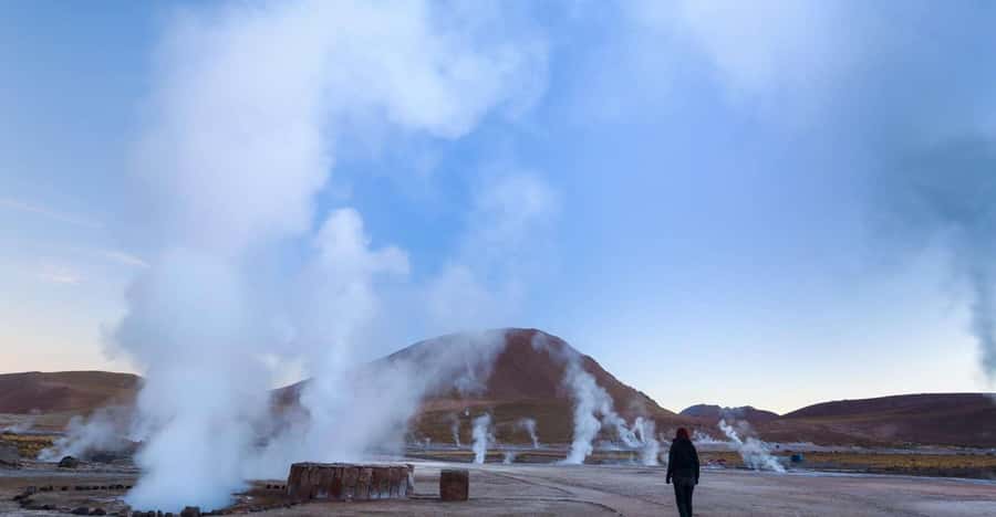 San Pedro de Atacama: El Tatio Geysers Tour - Flamingos at the lagoon: the calm contrast stop