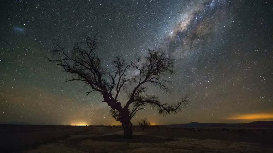 San Pedro de Atacama: Guided Atacama Desert Stargazing Tour - Key things to know before you go