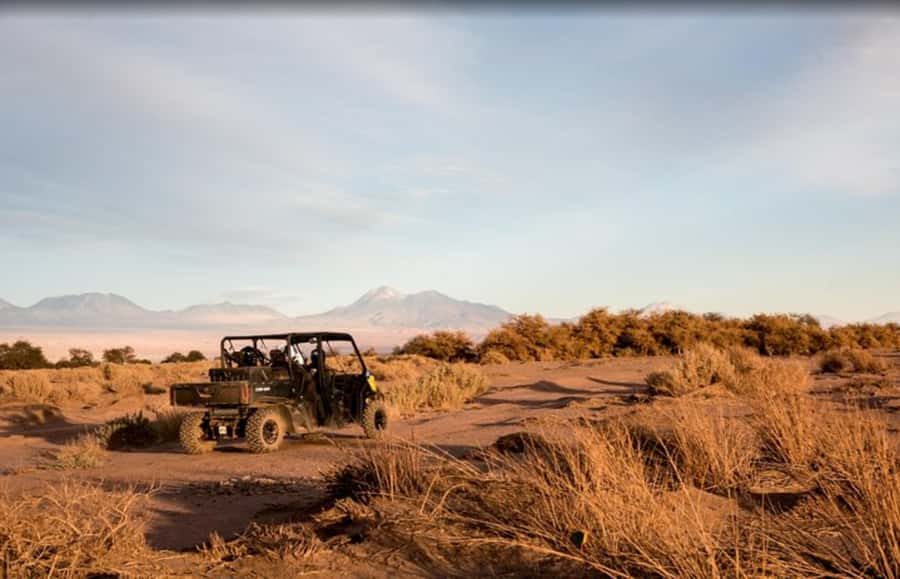 San Pedro de Atacama: Guided Buggy Tour Through the Desert - Wildlife and desert know-how from Juan Pablo (JP)
