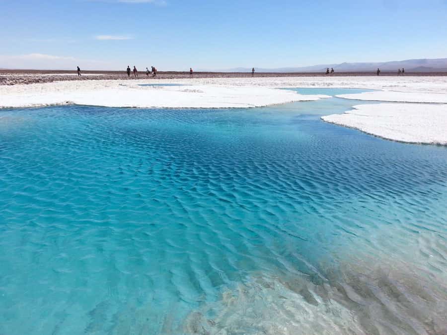 San Pedro de Atacama: Hidden Lagoons of Baltinache Tour - Baltinache’s seven lagoons: what makes this saltwater stop special