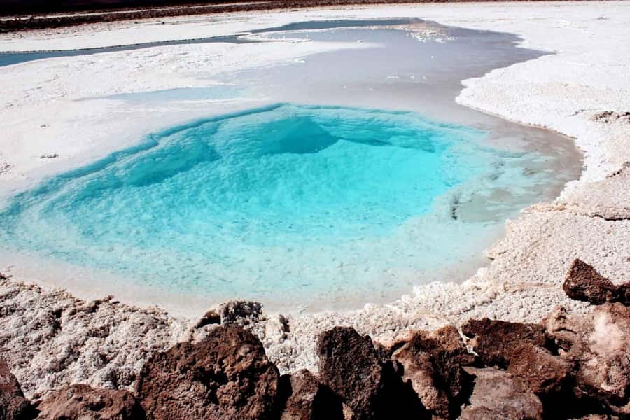 San Pedro de Atacama: Hidden Lagoons of Baltinache Tour - Floating in the salt: how to enjoy the water without surprises