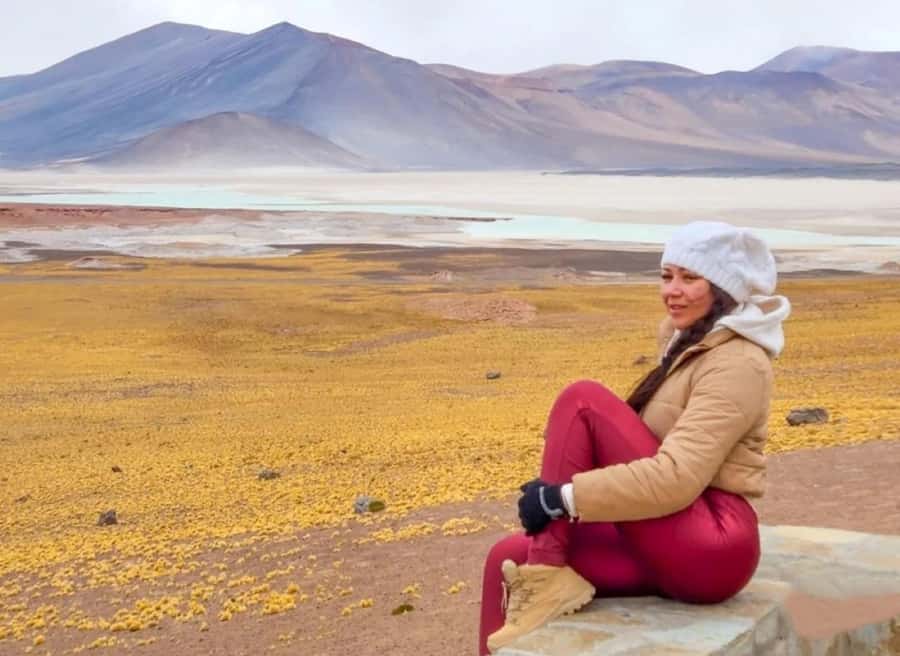 San Pedro de Atacama: Piedras Rojas and Lagunas Altiplanica - Salar de Talar, Piedras Rojas, and the short walk for photos