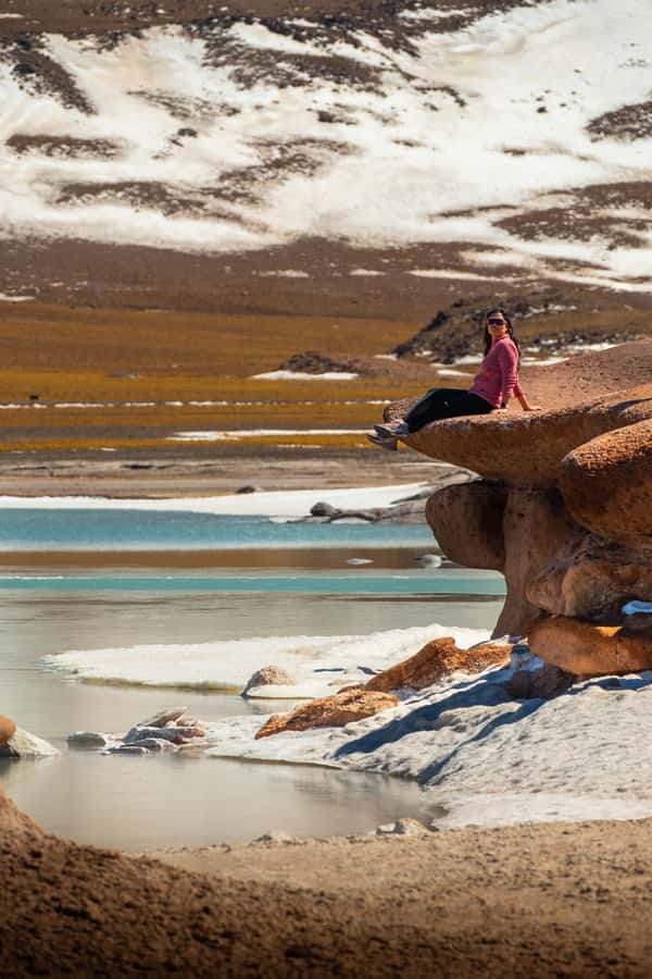 San Pedro de Atacama: Red Rocks & Altiplano Lagoons Day Trip - Chaxa Lagoon: flamingos and the reason this stop is worth your stamina