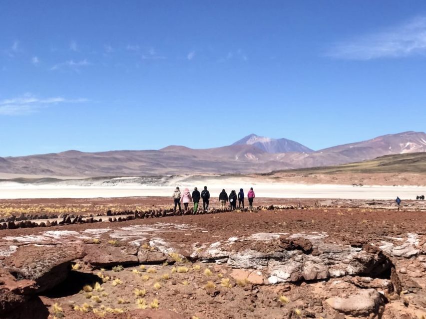 San Pedro de Atacama: Red Rocks & Altiplano Lagoons Day Trip - Miscanti and Miñiques lagoons: 3,000-plus meters and a guide who explains what you see