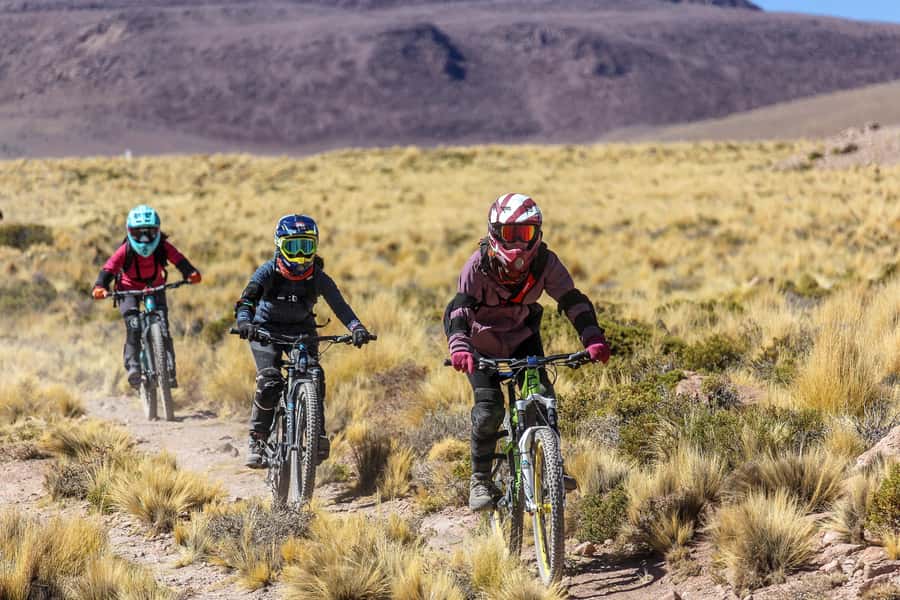 San Pedro de Atacama: Volcano Downhill Bike Tour - Price and value: $250 for a full pro downhill package