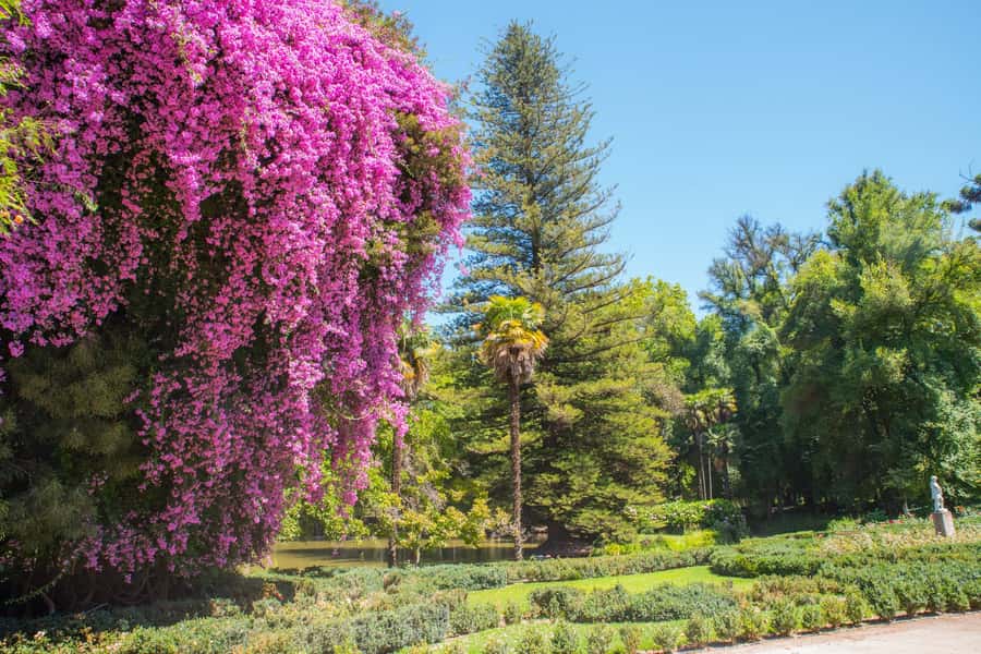 Santa Rita: Tour + Premium Wine Tasting + Private Transport - Why this Santa Rita experience works as a high-end day trip