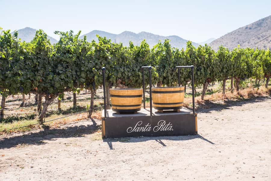 Santa Rita: Tour + Premium Wine Tasting + Private Transport - The Santa Rita estate walk: parks, gardens, cellars, and old stone