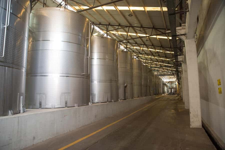 Santa Rita: Tour + Premium Wine Tasting + Private Transport - Andean Museum stop: the bonus that adds real texture