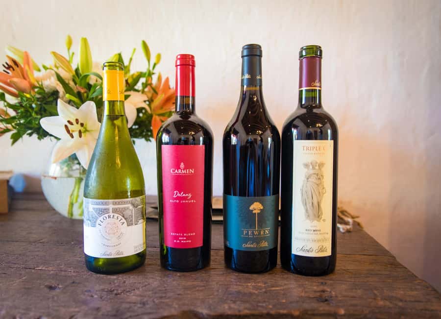 Santa Rita: Tour + Premium Wine Tasting + Private Transport - Who should book it, and who should skip it