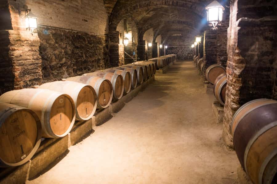 Santa Rita: Tour + Premium Wine Tasting + Private Transport - Getting to the winery without the usual Santiago headache