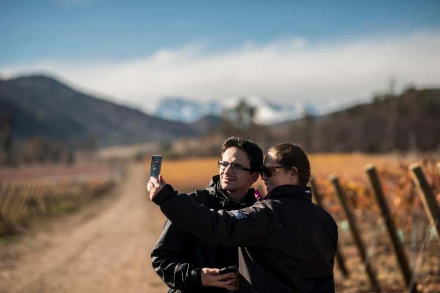Santa Rita Vineyard Tour: History, Wine, and Outdoor Picnic - Vineyard walk and cellar time: what you learn and what to watch for
