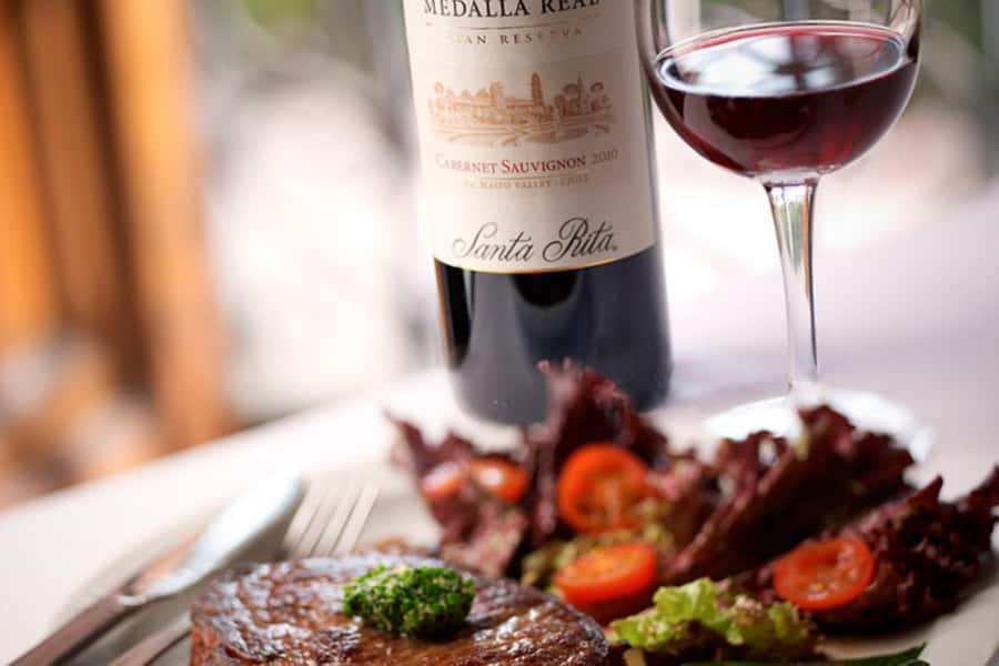 Santa Rita Vineyard Tour with Lunch, an Unforgettable Day! - Who this tour is best for, and who should skip it
