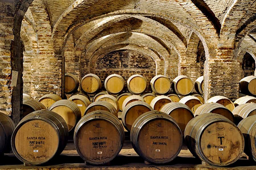 Santa Rita Vineyard Tour with Lunch, an Unforgettable Day! - Historic cellars and the story of Los 120