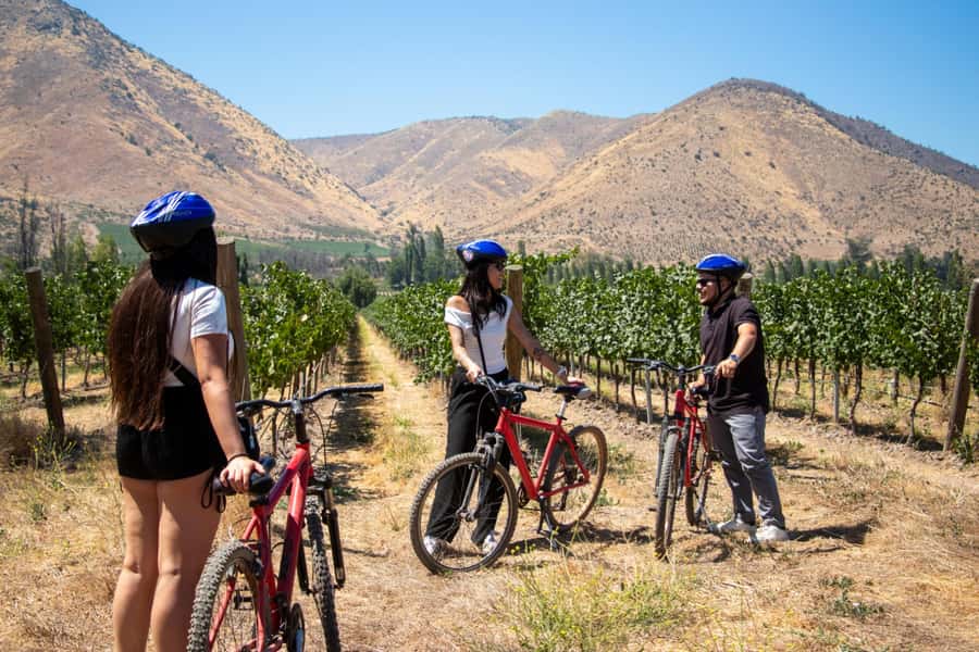 Santa Rita Vineyard Tour with Lunch, an Unforgettable Day! - Andean Museum: 3,000+ pre-Columbian artifacts, plus time to shop