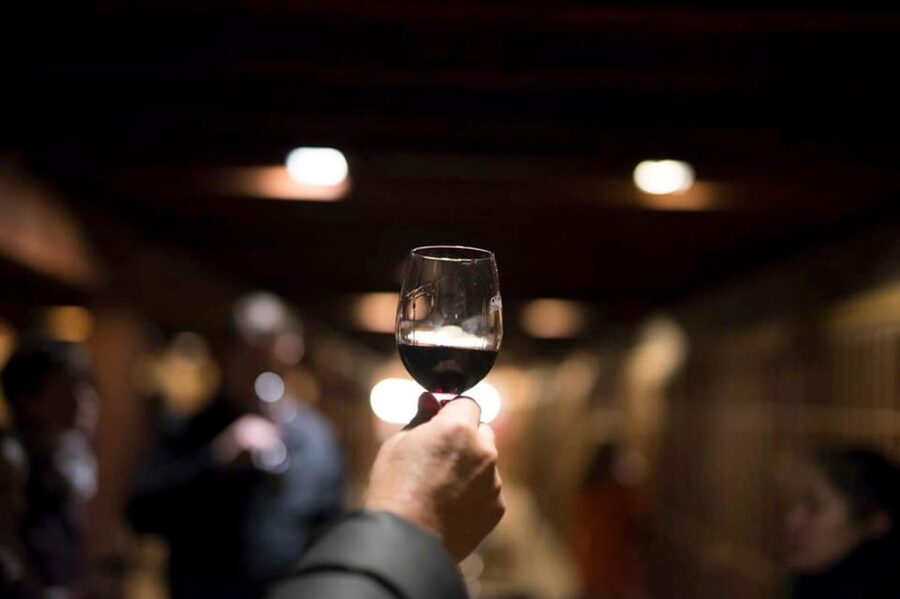 Santa Rita Vineyard Tour with Lunch, an Unforgettable Day! - Price and logistics: what you are paying for at $207 per person