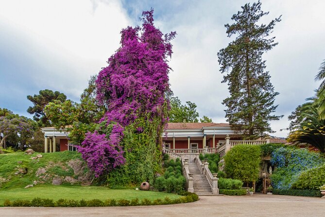 Santa Rita Vineyard Tour with Lunch An unforgettable experience! - Getting to Santa Rita from Santiago without losing your morning