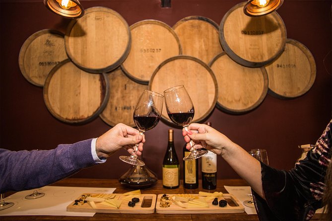 Santa Rita Winery Premium Tour - Vineyard to cellar: how the tour explains Chilean winemaking