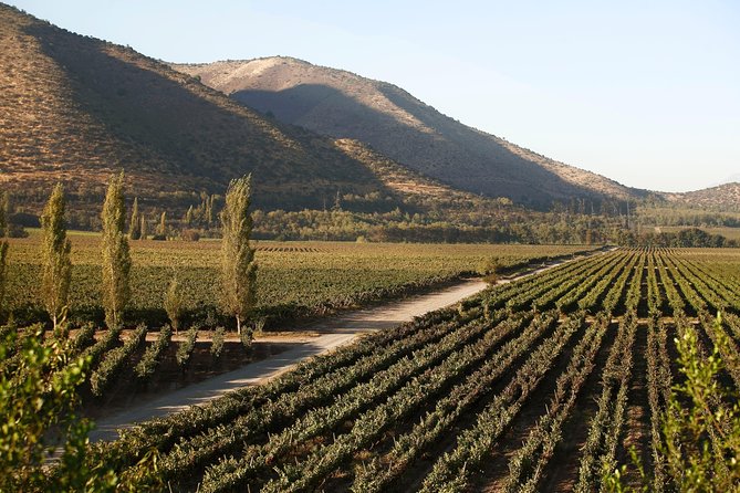 Santa Rita Winery Premium Tour - Group size and how it affects the experience