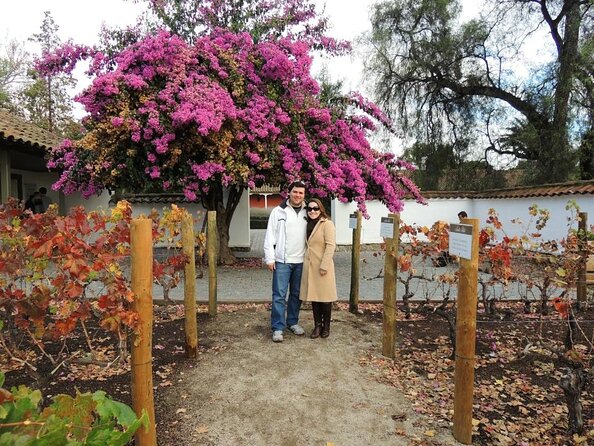 Santa Rita Winery Selection Tour - Key things I’d pay attention to before you go